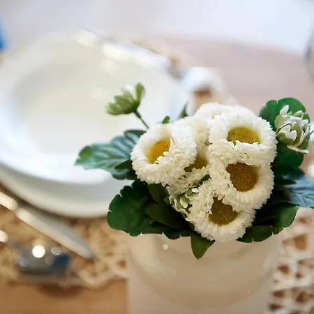 Διαμέρισμα Antica Τρογκίρ